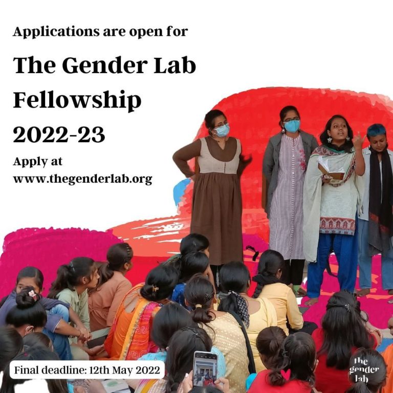 The Gender Lab Fellowship Devinfo In