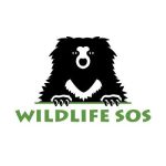 Wildlife SOS