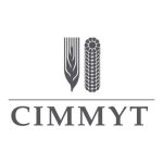 International Maize and Wheat Improvement Center (CIMMYT)